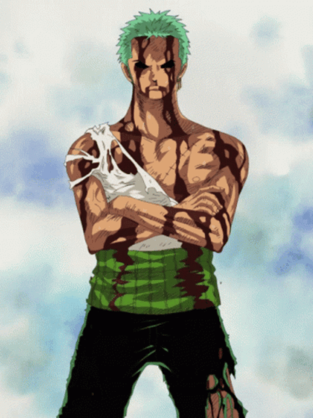 Zoro One GIF - Zoro One Piece - Découvrir et partager des GIF